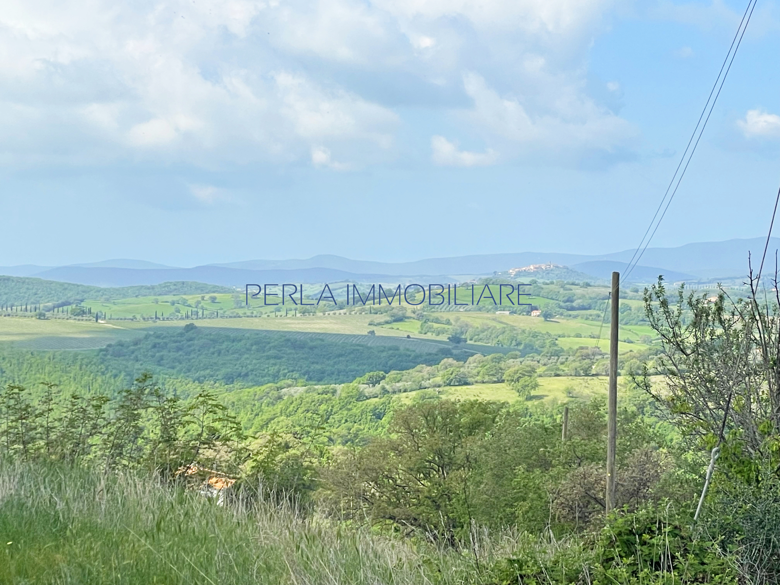 SCANSANO - Terreno di 13 ettari, con annessi agricoli. Euro 200.000